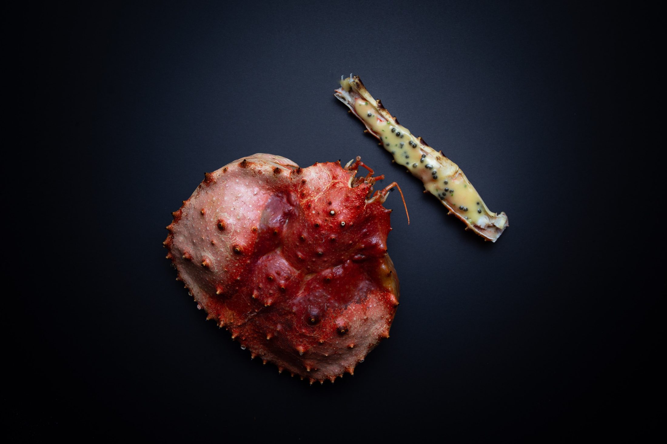 A whole king crab plated on a black background for TableOne