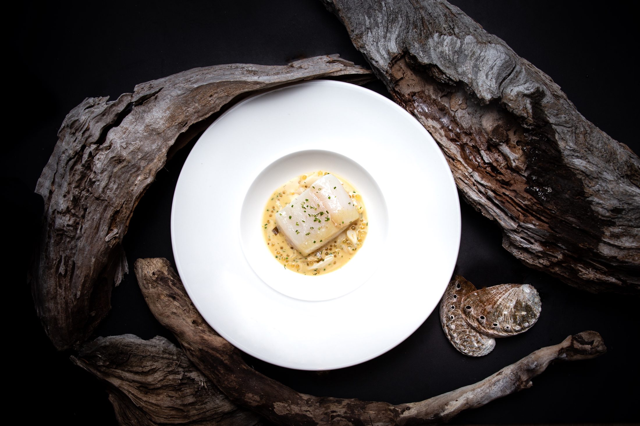A plated fish dish for TableOne, framed by driftwood
